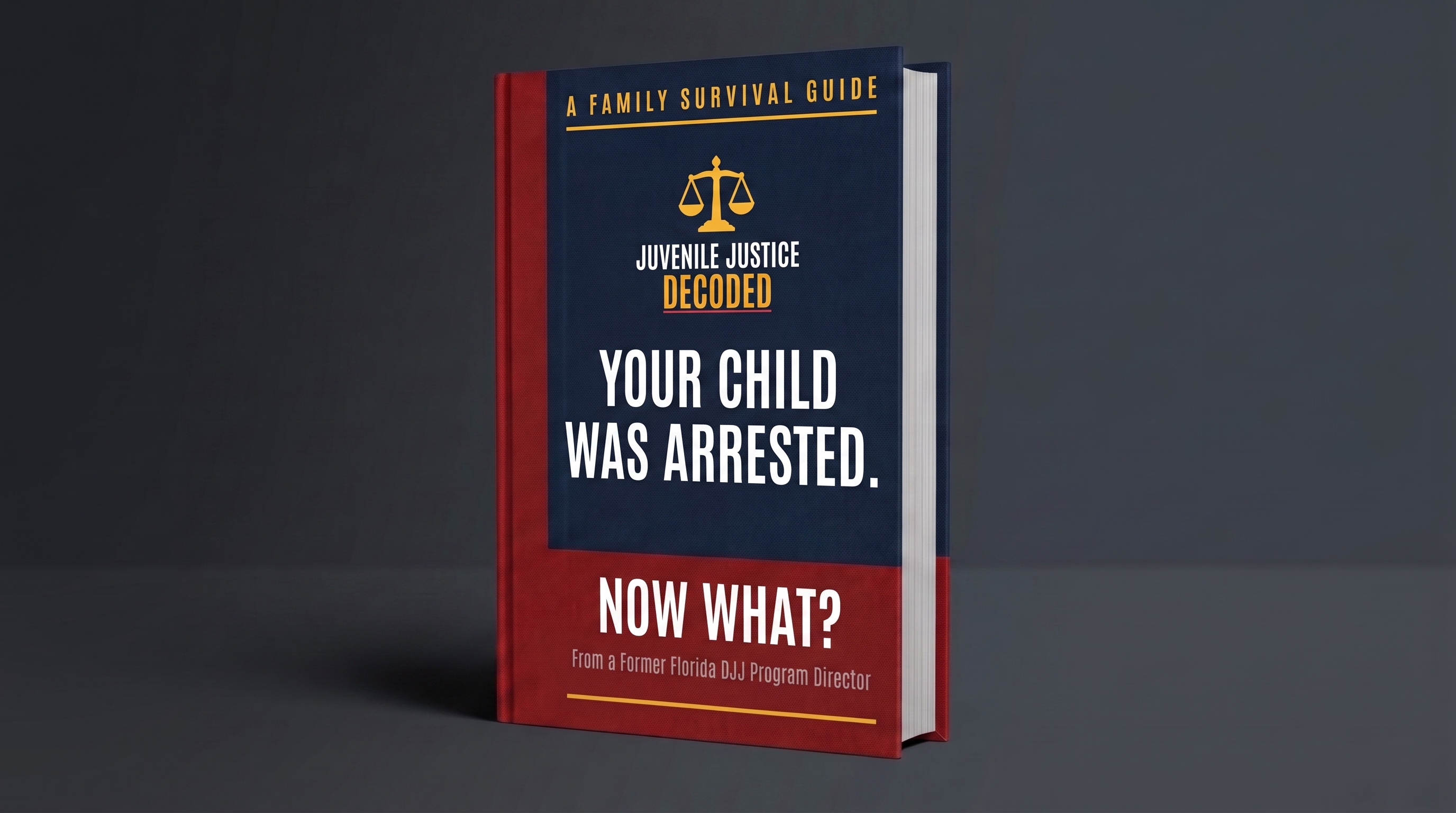 Your Child Was Arrested. Now What?